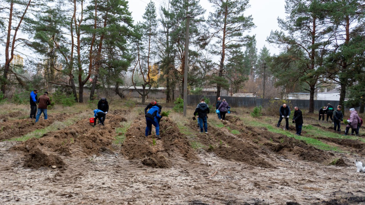 Марина Филиппова: Сегодня в нашем Парке Дружбы прошла замечательная экологическая акция по обновлению зеленых насаждений, в рамках которой были высажены сотни хвойных саженцев Марина Филиппова: Сегодня в нашем Парке Дружбы прошла замечательная экологическая акция по обновлению зеленых насаждений, в рамках которой были высажены сотни хвойных саженцев