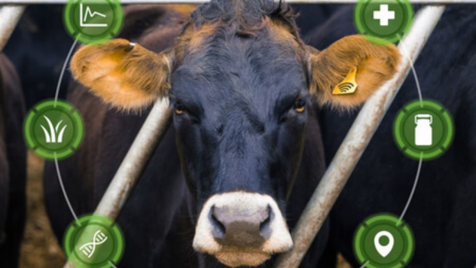 ���������, �����! ��� �������� ������ �� ���?