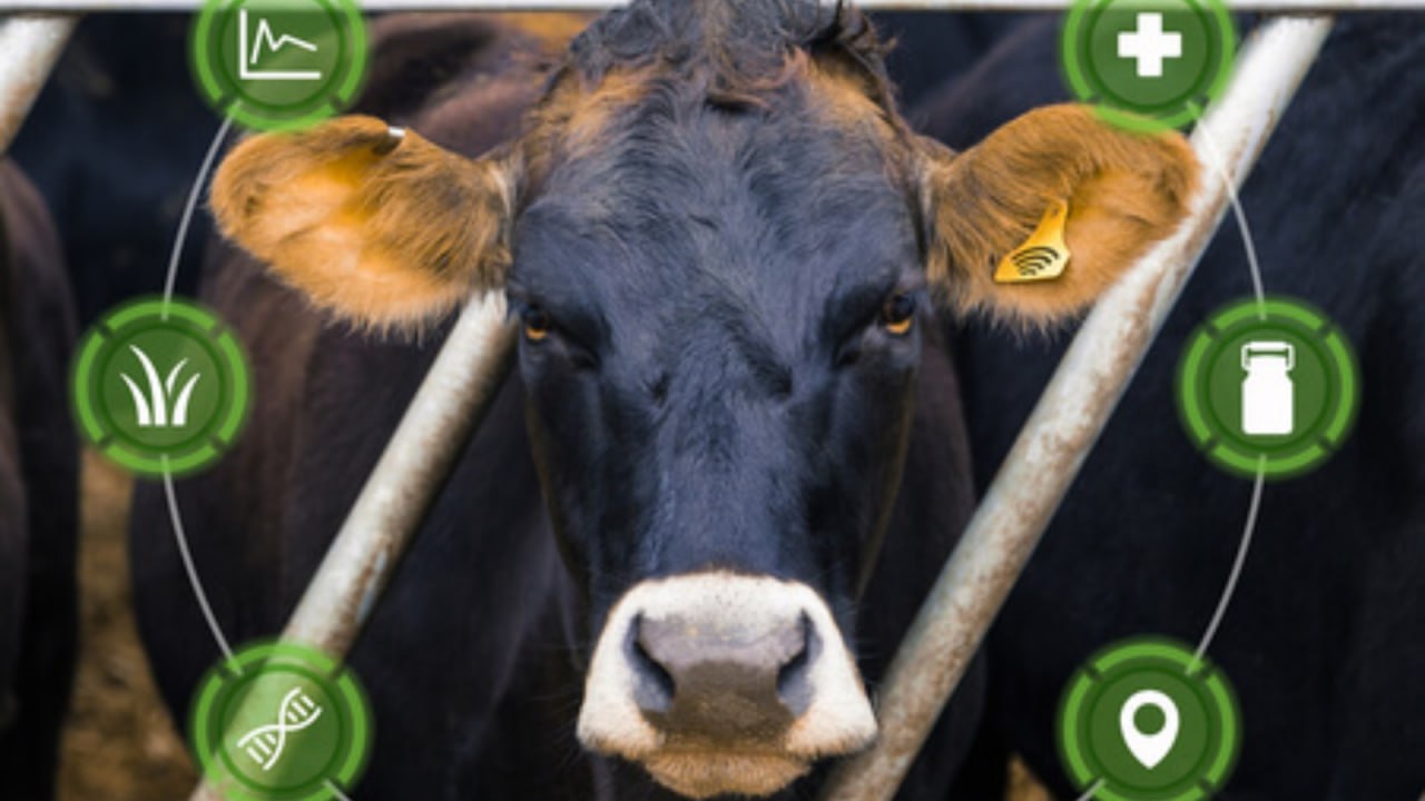 Осторожно, фейки! Как отличить правду от лжи? Осторожно, фейки! Как отличить правду от лжи?