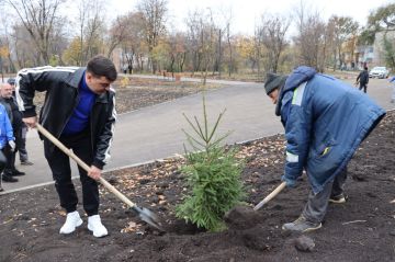 В Стаханове высадили ели в рамках международной акции «Сад памяти»