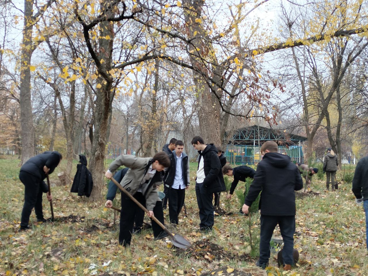 "Сад памяти": В Ровеньках высадили ели в рамках экологической акции! "Сад памяти": В Ровеньках высадили ели в рамках экологической акции!