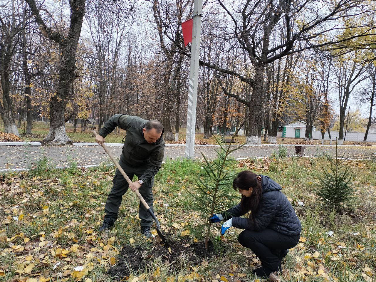 "Сад памяти": В Ровеньках высадили ели в рамках экологической акции! "Сад памяти": В Ровеньках высадили ели в рамках экологической акции!