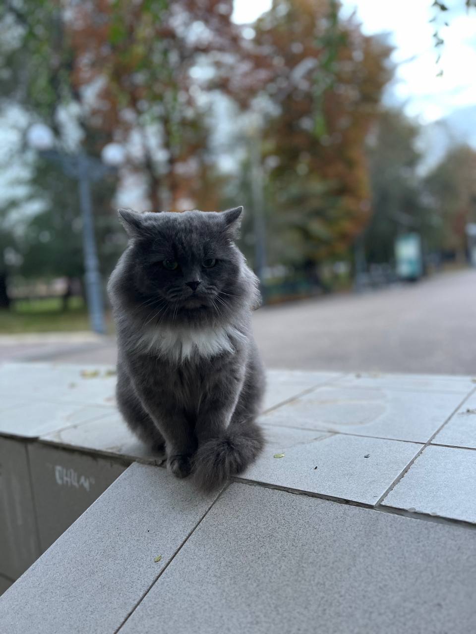 8 ноября на территории Луганской Народной Республики прогнозируется облачность с прояснениями