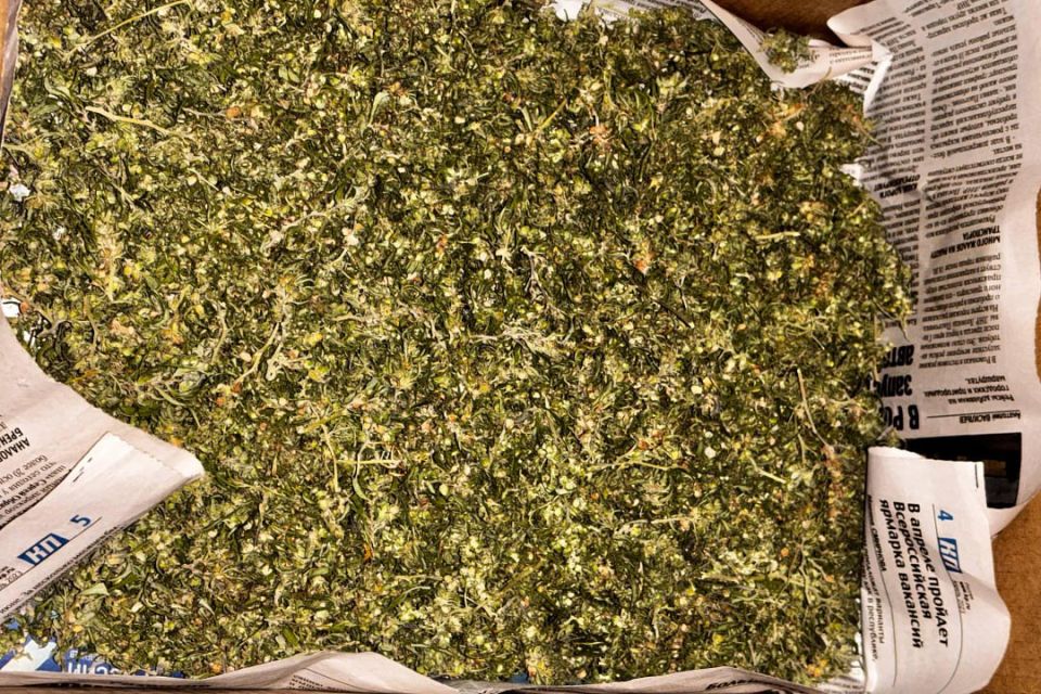 � ��� � ������ ��������������� ������ ������� ������ ��������� �������� �������� � 10 �� ����������