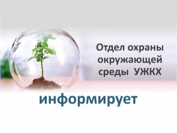 Администрация городского округа муниципальное образование городской округ город Красный Луч Луганской Народной Республики устанавливает балансодержателя зеленых насаждений: