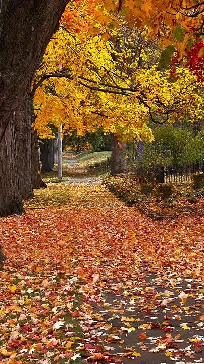 Доброе утро!. Ваш точный прогноз погоды на пятницу, 7 ноября: Ночь (00:01-06:00) Пасмурно, +7...+8°C Постепенное похолодание Утро (06:01-12:00) Облачно, +7...+11°C Температура начнёт повышаться День (12:01-18:00) Облачно...