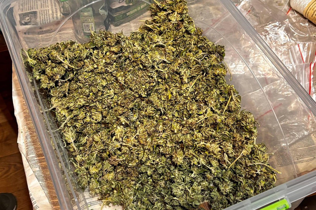 В ЛНР у жителя Северодонецкого округа полиция изъяла несколько десятков патронов и 10 кг наркотиков В ЛНР у жителя Северодонецкого округа полиция изъяла несколько десятков патронов и 10 кг наркотиков