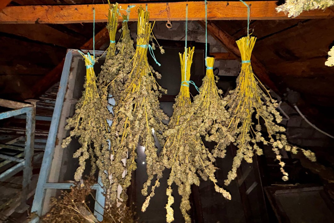 В ЛНР у жителя Северодонецкого округа полиция изъяла несколько десятков патронов и 10 кг наркотиков В ЛНР у жителя Северодонецкого округа полиция изъяла несколько десятков патронов и 10 кг наркотиков