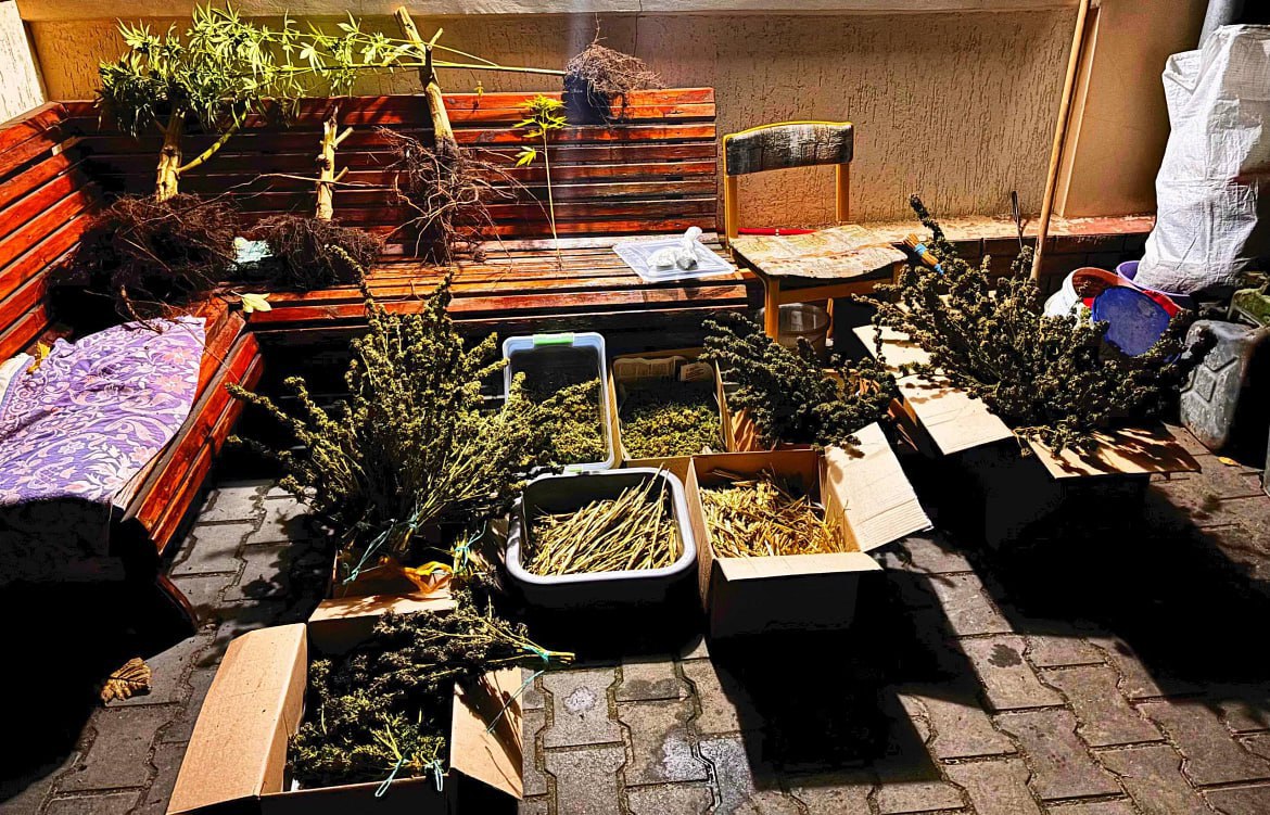 В ЛНР у мужчины изъяли 10 кг наркотиков и патроны