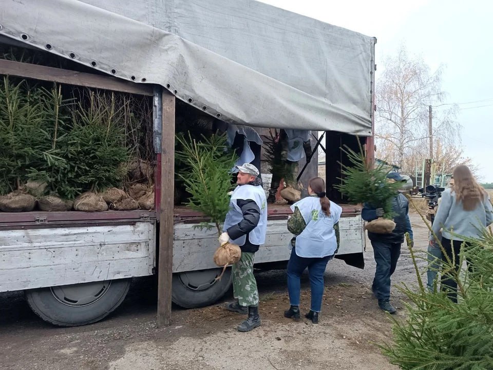 ЛНР получила от «Сада Памяти» 1500 саженцев