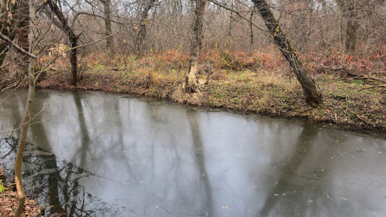 Минприроды ЛНР совместно с ГБУ ЛНР «СББЖ Перевальского района» проведена проверка по информации, размещенной в сети Интернет, о загрязнении участка реки Белая и гибели дикого животного