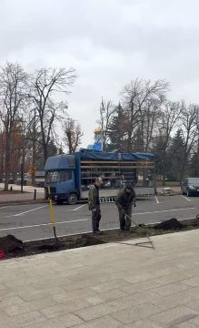 В Луганске высаживают новые елочки