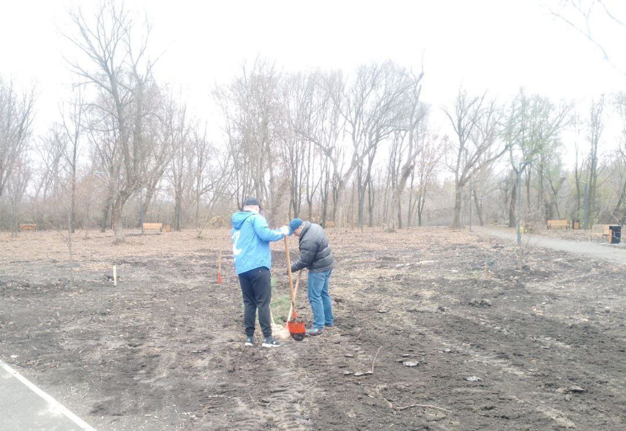 Активисты «Единой России» озеленили парк «Красный Луч» Активисты «Единой России» озеленили парк «Красный Луч»