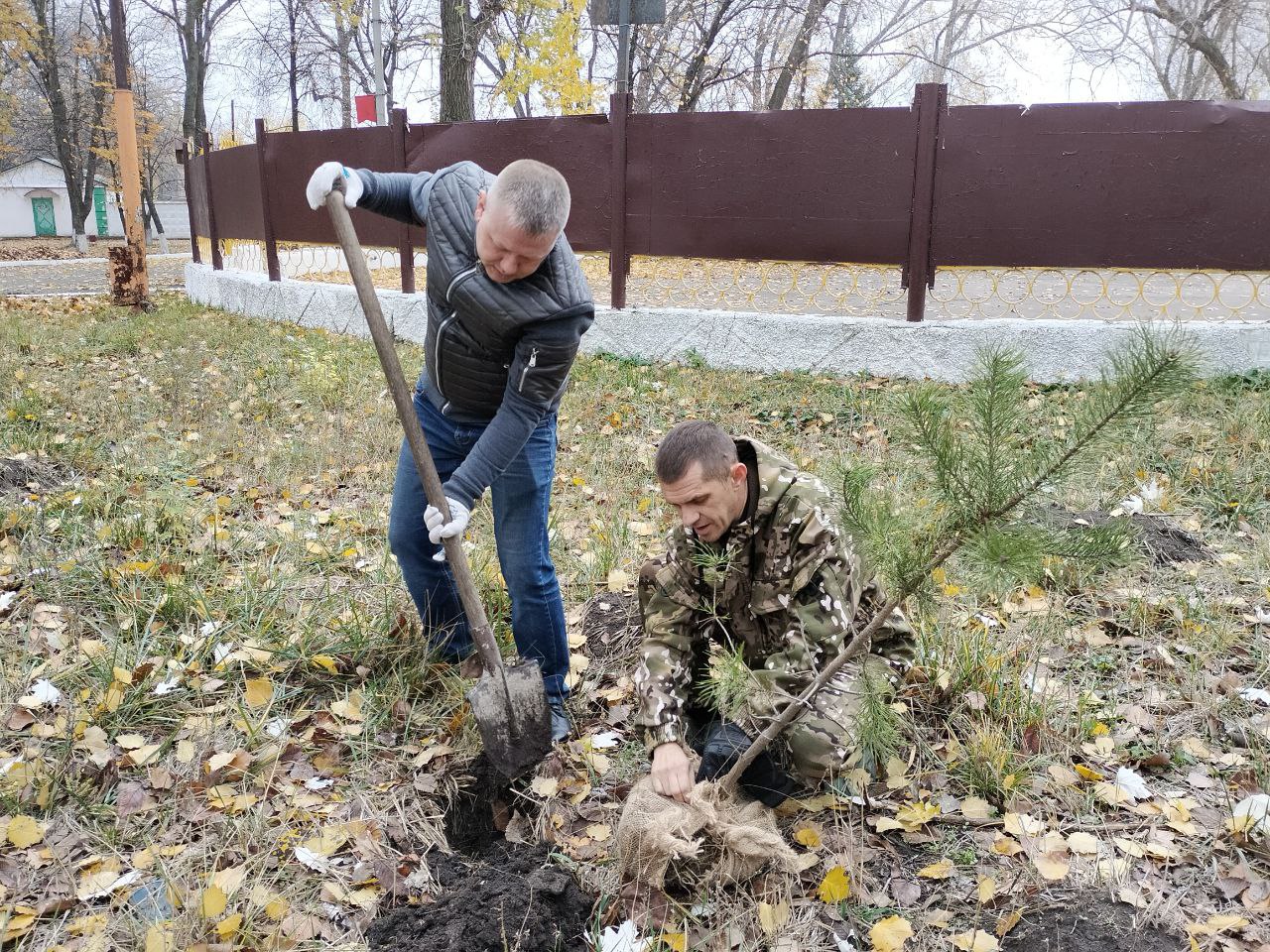 "Сад памяти": В Ровеньках высадили ели в рамках экологической акции! "Сад памяти": В Ровеньках высадили ели в рамках экологической акции!