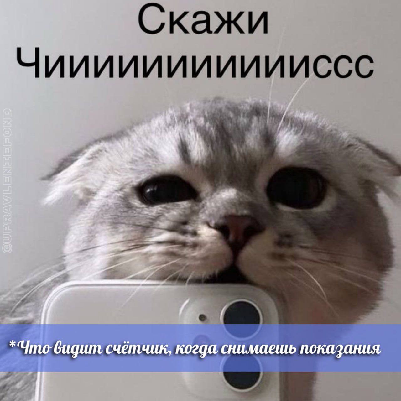 При наличии показаний водомера за отчётный период в личном кабинете закрывается возможность внести их повторно