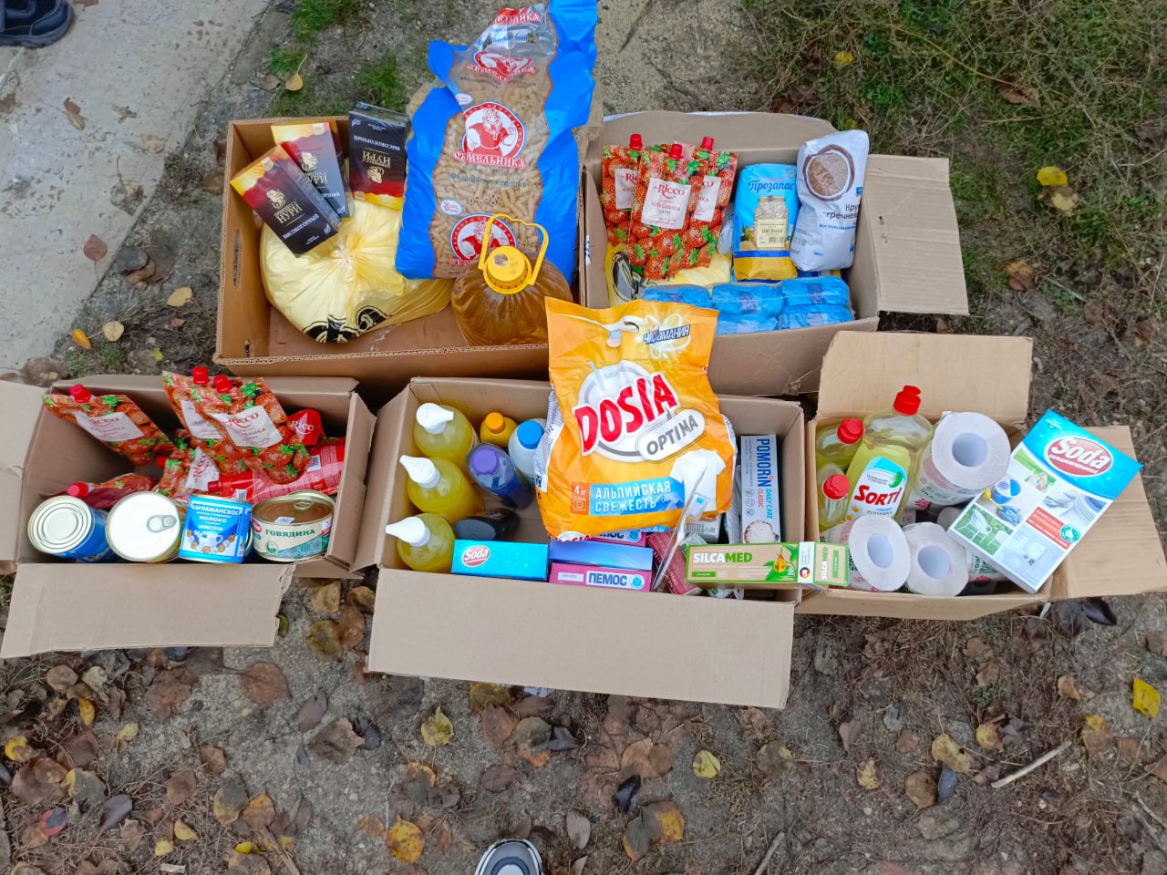 Поддержка многодетных семей от лисичанских единороссов Поддержка многодетных семей от лисичанских единороссов