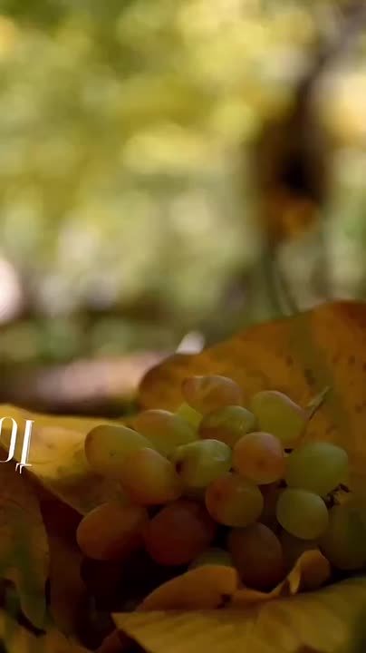 С добрым утром, жители Новоайдарского округа! Отличного пятничного настроения!