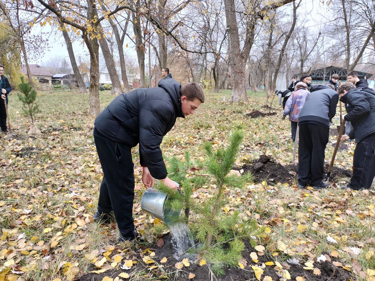 "Сад памяти": В Ровеньках высадили ели в рамках экологической акции! "Сад памяти": В Ровеньках высадили ели в рамках экологической акции!