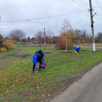 Активисты партийного проекта "Чистая страна" провели субботник в пгт.Софиевский