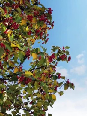  , !.       ! @agklnr #