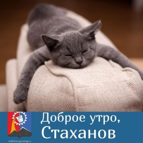 Доброе утро, родной город. Ноябрьское воскресенье встречает нас туманом и тишиной