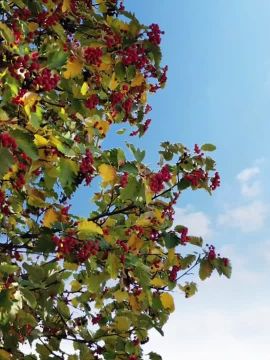  , !.       ! @agklnr #