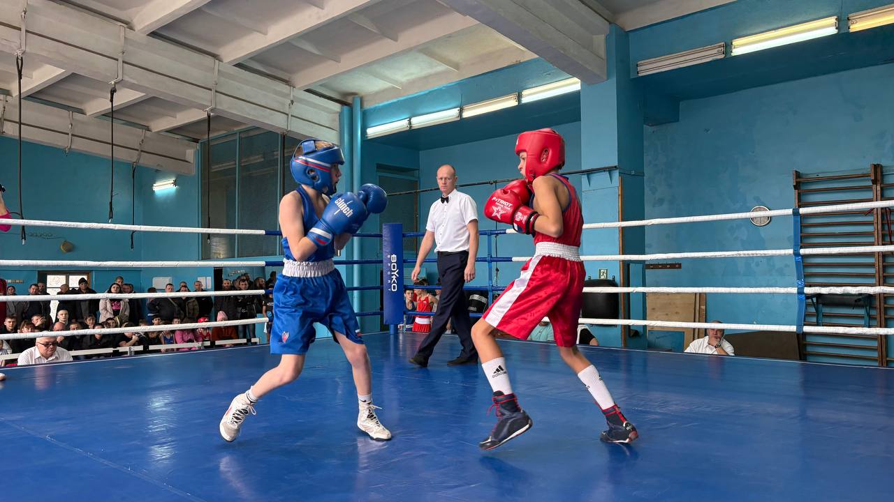 На базе Краснолучского комплекса спортивных сооружений при поддержке Администрации ГО город Красный Луч и проекта «Детский спорт» состоялись значимые спортивные события – Открытое первенство по боксу Краснолучской... На базе Краснолучского комплекса спортивных сооружений при поддержке Администрации ГО город Красный Луч и проекта «Детский спорт» состоялись значимые спортивные события – Открытое первенство по боксу Краснолучской...