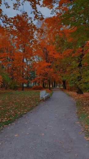  !.     , 9 :  (00:01-06:00) , +8...+9C     (06:01-12:00) , +8...+13C    (12:01-18:00) ...