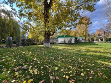 Осень в любимом городе. Луганск в золоте, согласитесь, прекрасен