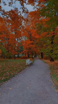  !.     , 9 :  (00:01-06:00) , +8...+9C     (06:01-12:00) , +8...+13C    (12:01-18:00) ...