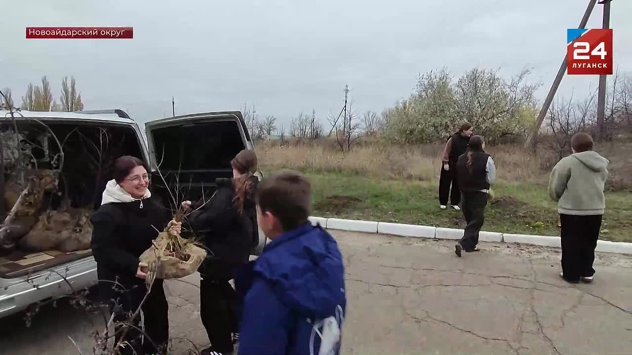 Березовая аллея появилась в селе Гречишкино Новоайдарского округа