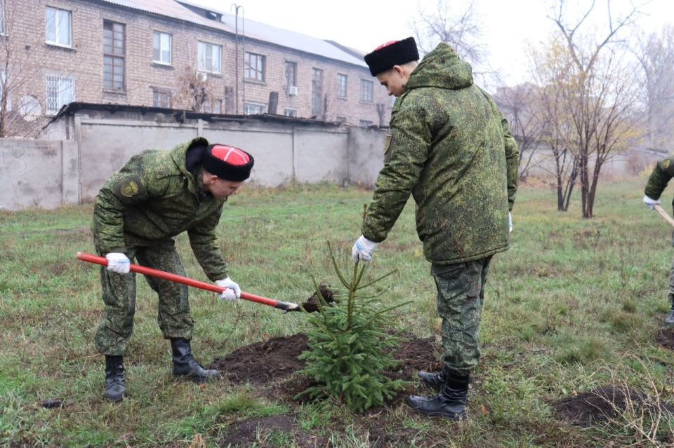 Светлана Гребенькова: В знак вечной памяти и благодарности Светлана Гребенькова: В знак вечной памяти и благодарности