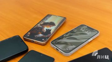 Мошенники чаще всего используют схемы «запись в очередь» и «родственник в беде» — МВД по ЛНР