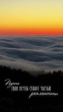 Поляны окропил холодный свет луны