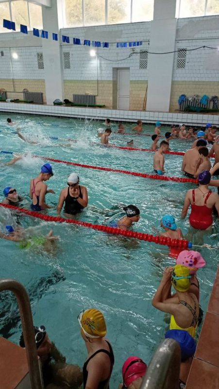 В Краснолучском плавательном бассейне 8 ноября прошли соревнования по плаванию «Лучший на комплексе» среди учащихся спортивных групп Краснолучской ДЮСШ № 2 В Краснолучском плавательном бассейне 8 ноября прошли соревнования по плаванию «Лучший на комплексе» среди учащихся спортивных групп Краснолучской ДЮСШ № 2