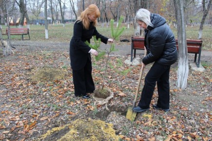 11 ноября в парке имени «Молодой гвардии» под эгидой совета женщин Краснодонского муниципального округа Луганского регионального отделения «Союза женщин России» состоялась акция по высадке деревьев