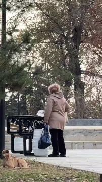 Правоохранители Луганска провели проверку по факту распространившихся в соцсетях кадров «исчезновения цветов» в сквере имени Героев «Молодой гвардии», сообщает ведомство