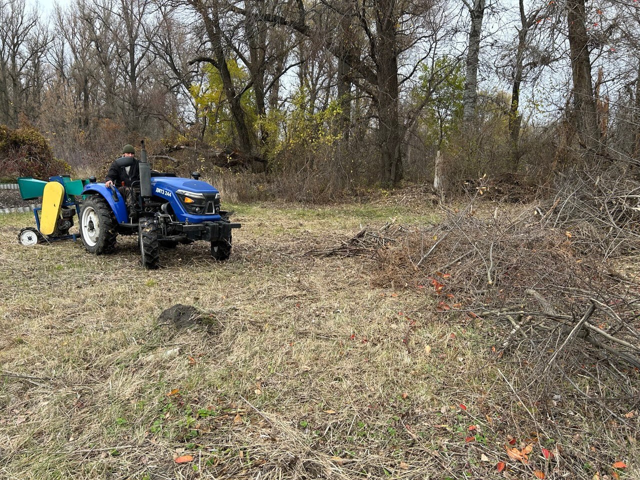 Единороссы провели субботник