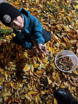 Воспитанники ГБДОУ ЛНР «Беловодский ЯС №2 «Радуга» внесли свой вклад в восстановление лесных массивов Беловодского МО
