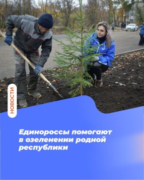 Единороссы помогают в озеленении родной республики