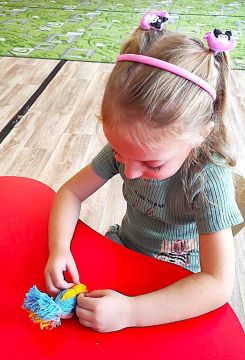 Экологический час «Друзья у кормушки» в Синичкин день