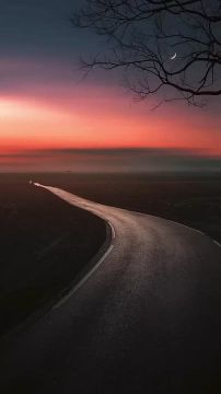 На скамье, в тени прозрачной Тихо шепчущих листов, Слышу — ночь идёт, и — слышу Перекличку петухов