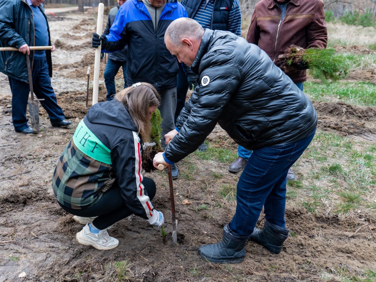Парк Дружбы обновляется совместными усилиями Парк Дружбы обновляется совместными усилиями