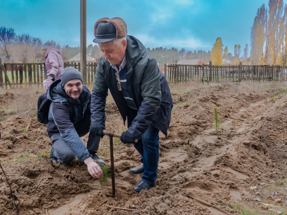 Парк Дружбы обновляется совместными усилиями Парк Дружбы обновляется совместными усилиями