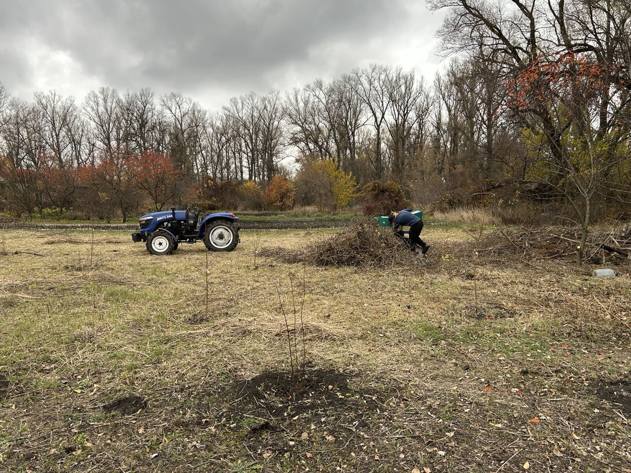 Единороссы провели субботник Единороссы провели субботник
