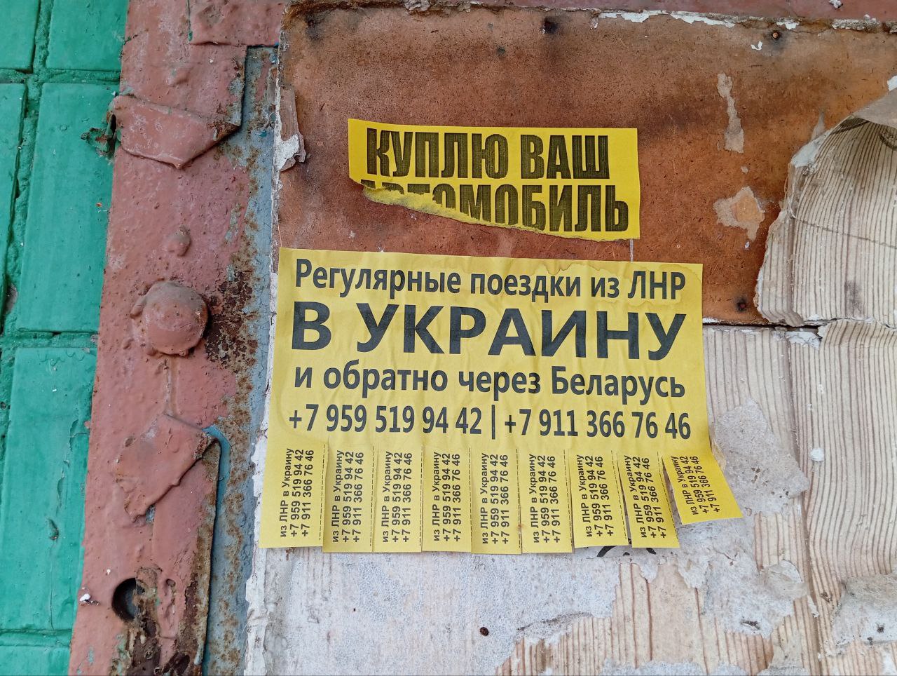 Грэм Филлипс: Кому-то война, кому-то "регулярные поездки "в" Украину " из ЛНР