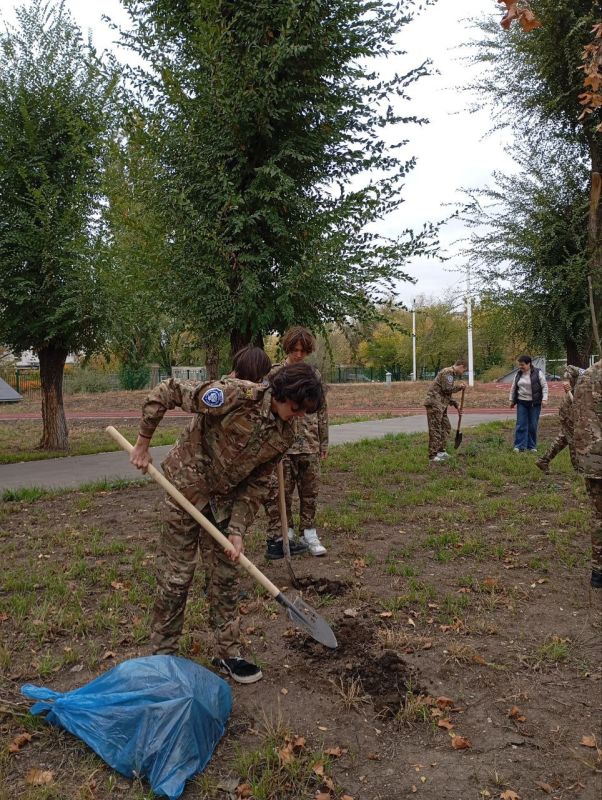 Порядка 100 саженцев фруктовых деревьев высадили в учреждениях образования Порядка 100 саженцев фруктовых деревьев высадили в учреждениях образования