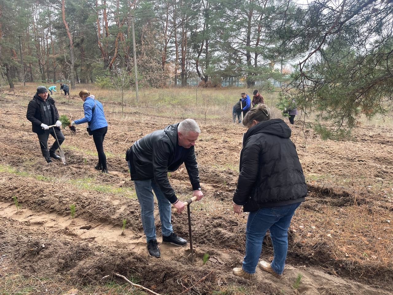 Парк Дружбы обновляется совместными усилиями Парк Дружбы обновляется совместными усилиями