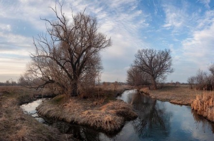 Гидрологическая засуха в Донбассе: почему пересыхают реки и водохранилаща