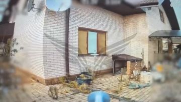 Работает «Рубикон». Рубцовское направление Подпишись на канал |